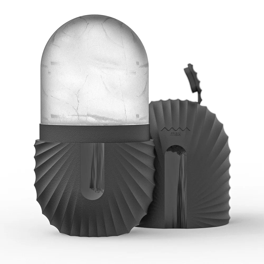 Ensemble de rouleaux de glace pour soins de la peau du visage, rouleau Facial en acier inoxydable Gua Sha, outil pour le visage, rouleau de Massage du visage, Cube de moule
