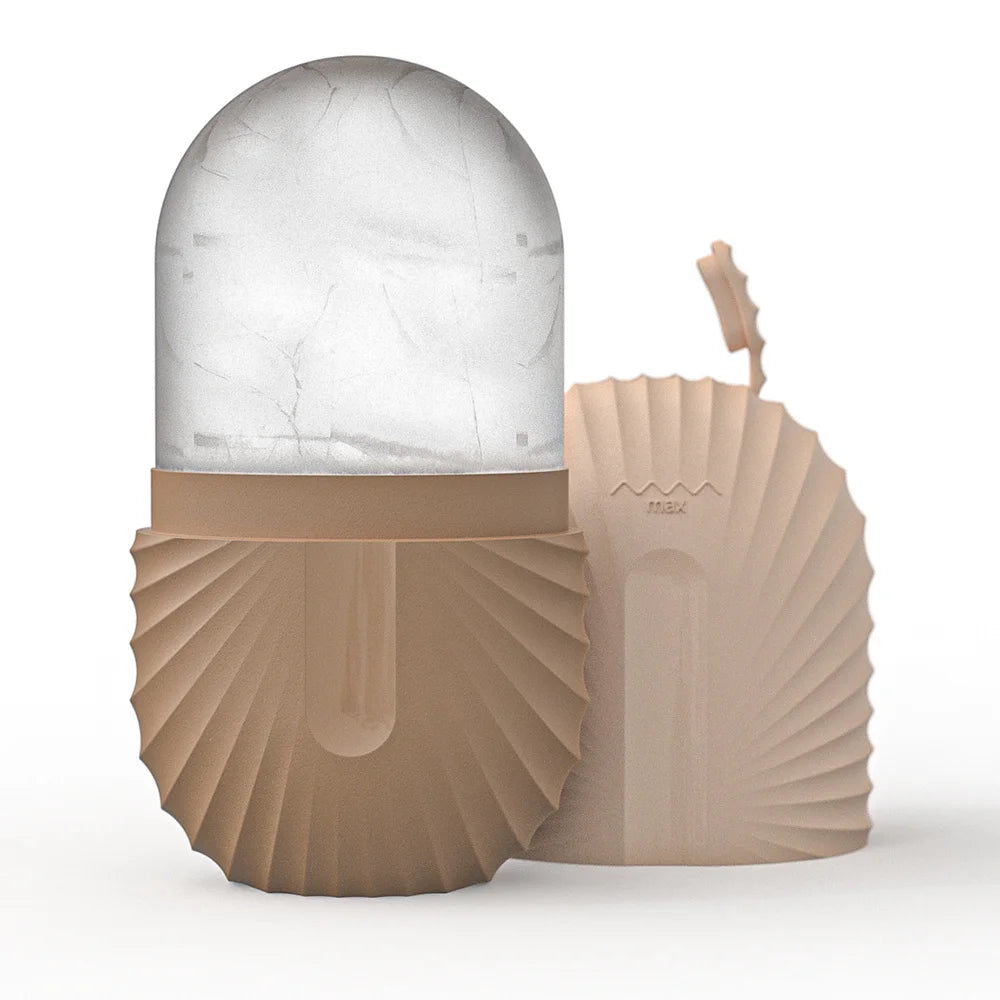 Ensemble de rouleaux de glace pour soins de la peau du visage, rouleau Facial en acier inoxydable Gua Sha, outil pour le visage, rouleau de Massage du visage, Cube de moule